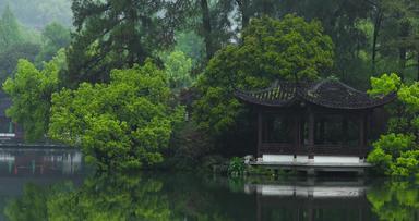 春天杭州西湖园林桥洞雨景